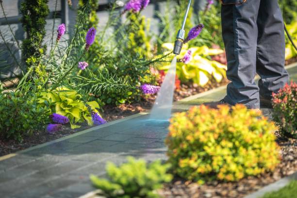 Best Concrete Surface Cleaning in Stokesdale, NC