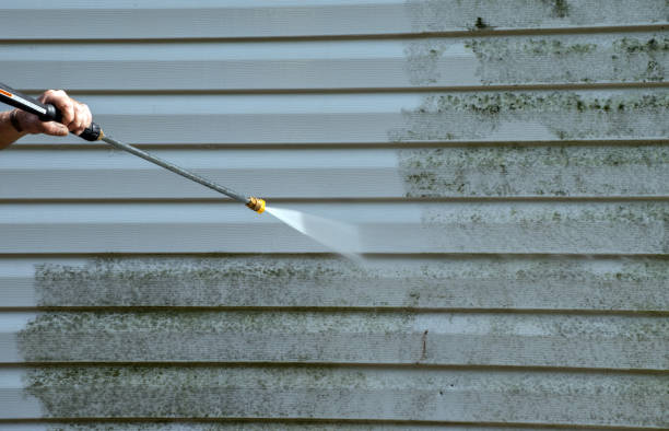 Best Gutter Cleaning and Brightening in Stokesdale, NC